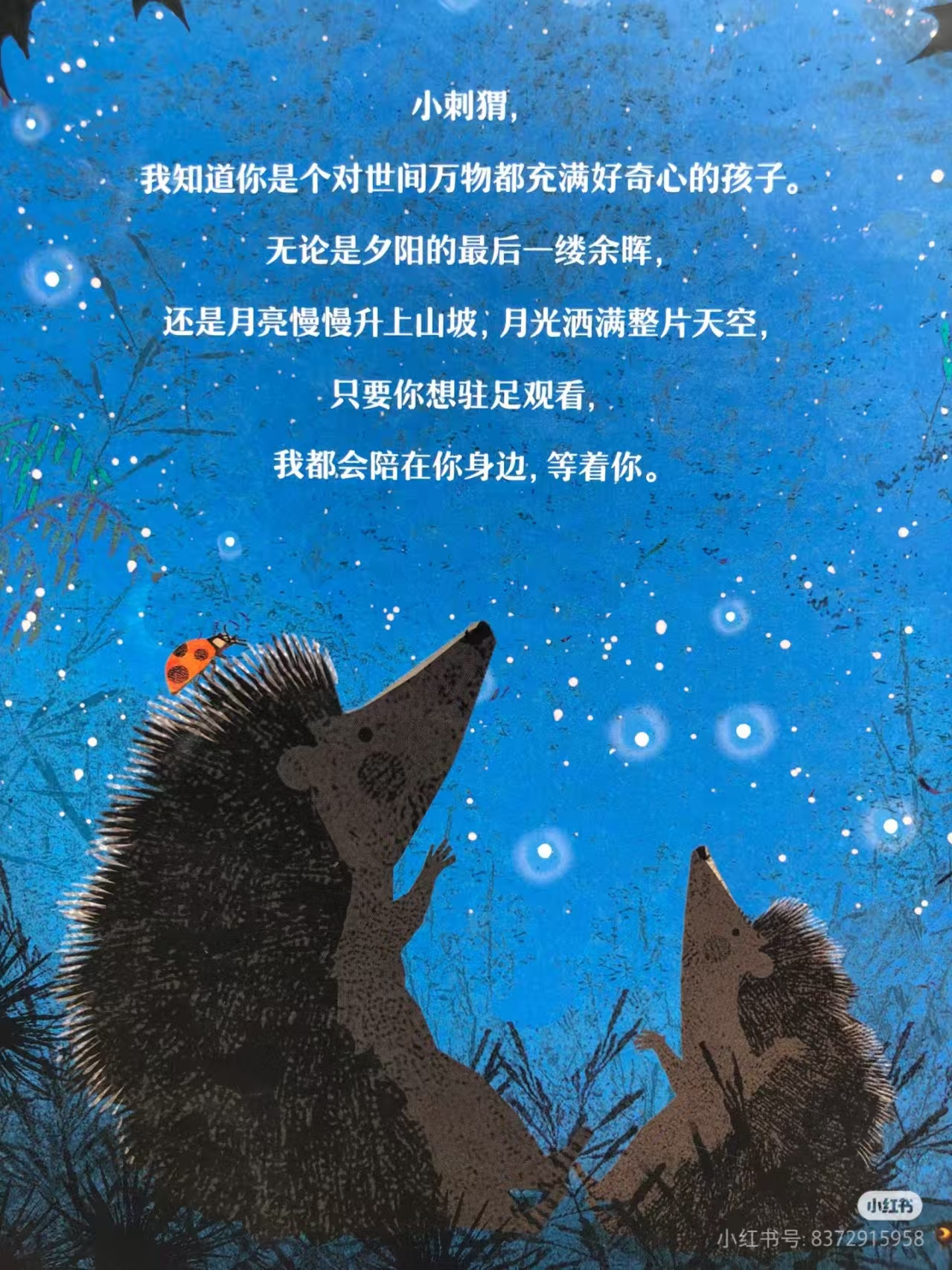 森林里的音乐会